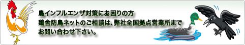 ���C���t���G���U�΍�ɂ�����̕��{�ɖh���l�b�g�̂����k�́A���БS�����_�c�Ə��܂ł��₢���킹������