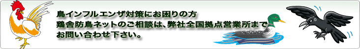 ���C���t���G���U�΍�ɂ�����̕��{�ɖh���l�b�g�̂����k�́A���БS�����_�c�Ə��܂ł��₢���킹������