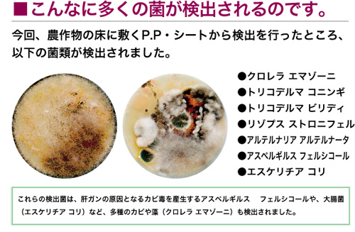抗菌アグリシート-検出される菌