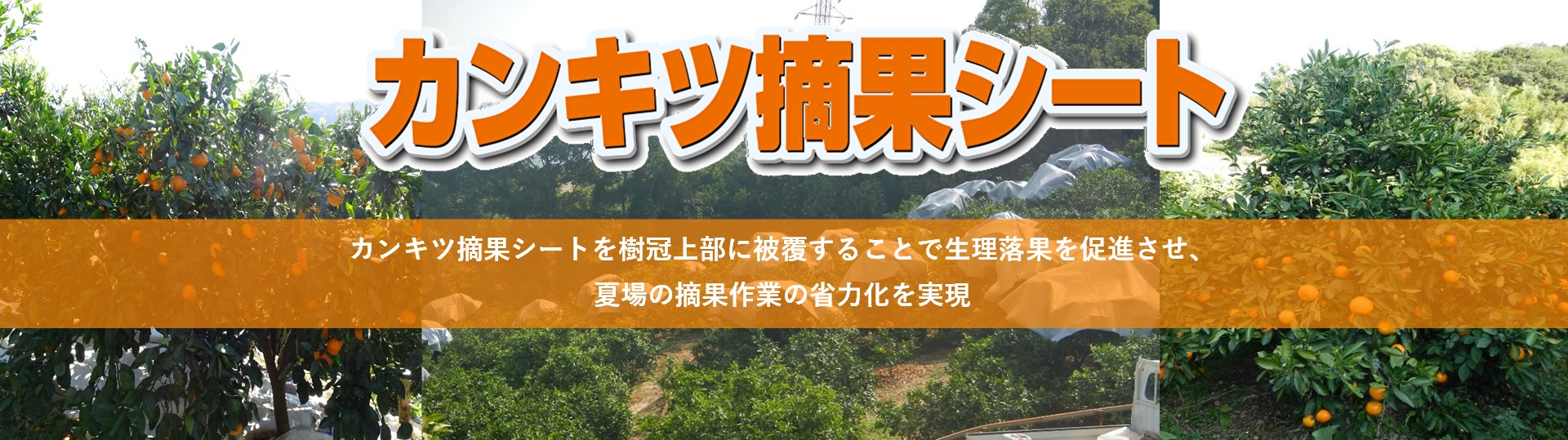 日本ワイドクロス株式会社 | 日本ワイドクロス株式会社は防虫